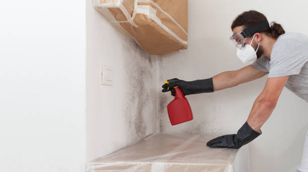 Professional Crawl Space Mold Remediation technician working in Andover, MA