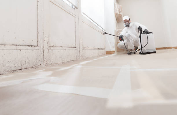 24/7 Emergency Crawl Space Mold Remediation experts in Andover, MA