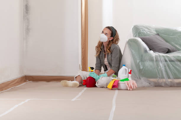 Reliable Crawl Space Mold Remediation contractor in Andover, MA by Mold Remediation HQ