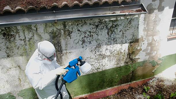 Top rated local Crawl Space Mold Remediation specialists in Andover, MA